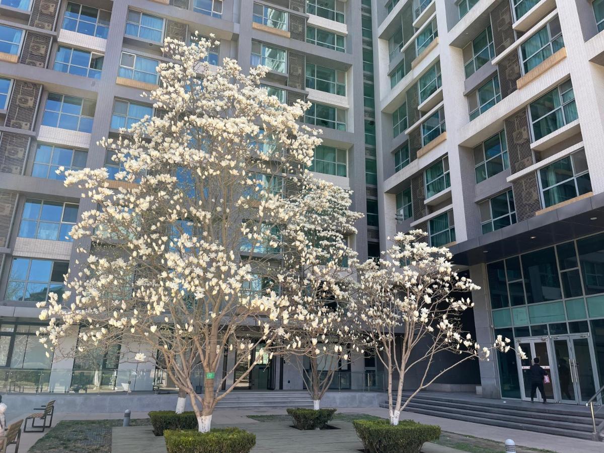 Beijing Elegant Seasons Park Apartment Bagian luar foto